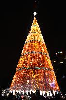 World's tallest Christmas tree lit in Mexico