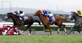 Apapane wins Hanshin Juvenile Fillies