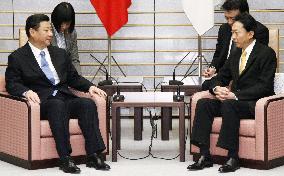 Hatoyama, Xi agree to deepen Japan-China strategic ties