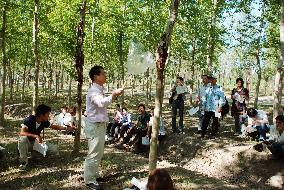 Keio's forestation plan in China recognized as climate project