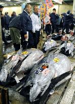 Tuna sold for 16.3 million yen at 1st auction in Tokyo fish