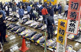 Tuna sold for 16.3 million yen at 1st auction in Tokyo fish