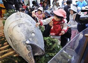 260-kg tuna offered at shrine for business prosperity