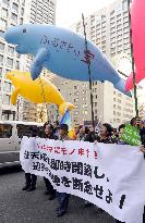 Tokyo rally against relocation of U.S. base in Okinawa