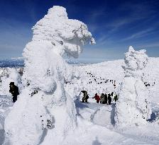 Soft rime 'Ice Monsters' at Zao Onsen Ski Resort northern Japan