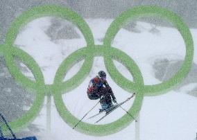 McIvor claims 1st Olympic ski cross title