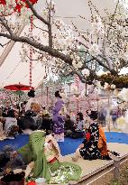 Plum Blossom Festival at Kitano Tenmangu in Kyoto