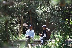 CHINA-GANSU-OLD MEN-TREE PLANTING (CN)