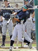 Ichiro engages in spring training