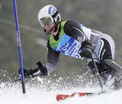 New Zealand's Hall wins gold in men's slalom standing
