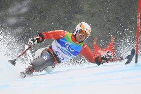Suzuki wins bronze in men's giant slalom sitting