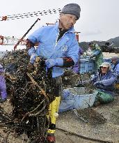 Chile quake tsunamis damage Japan's fisheries industry