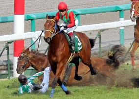 Jockey Take injured in fall