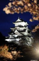Japan castle and 'sakura' cherry blossom