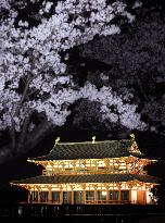 Daigokuden building lit up at ruins of Nara Imperial Palace