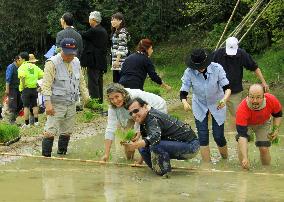 Central, South American envoys experience rice planting