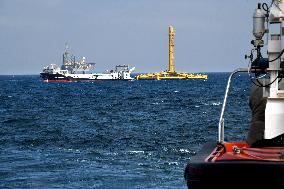 CHINA-SHANDONG-SELF-BRED DEEP-SEA ATLANTIC SALMONS-HARVEST (CN)