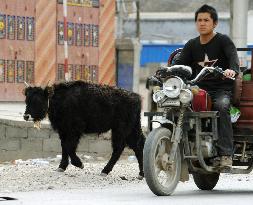 Aftermath of devastating earthquake in China's Qinghai Province