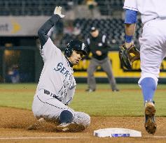 Mariners' Ichiro 2-for-5, 2 stolen bases against Royals