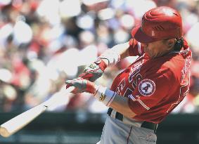 Angels' Matsui 1-for-4 against Cardinals