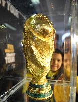 FIFA World Cup trophy exhibited in Pretoria