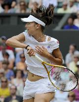 Pironkova vs Zvonareva at Wimbledon semifinals
