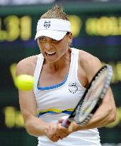 Pironkova vs Zvonareva at Wimbledon semifinals