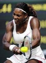 Serena Williams advances to Wimbledon final