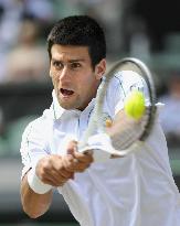 Djokovic vs Berdych in Wimbledon semifinal