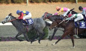 Legendary racehorse Oguri Cap dies