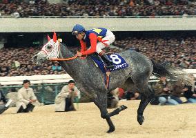 Legendary racehorse Oguri Cap dies