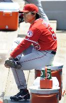 Angels' Matui stays in dugout