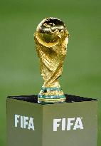 2010 FIFA World Cup trophy