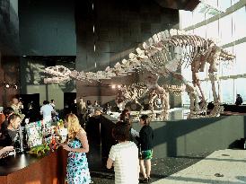 'Dinosaur bar' on Tokyo's Roppongi tower