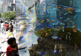 'Aquarium' in Tokyo's Ginza district