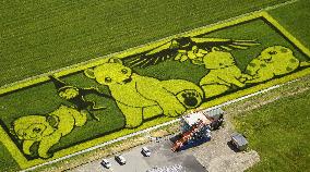 Animal pictures in rice paddies