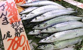 Poor catch of Pacific saury anticipated