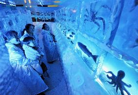Icy aquarium in Miyagi
