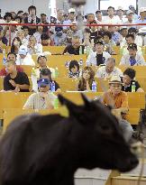 Cow auction resumes in disease-hit Miyazaki