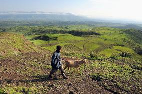 Girls' festival in Ethiopia