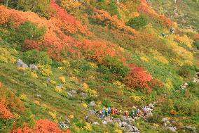 Autumn leaves on Hokkaido mountain