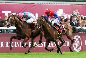 Nakayama Festa 2nd at Prix de l'Arc de Triomphe