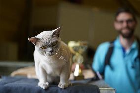 LATVIA-RIGA-DOG AND CAT SHOW