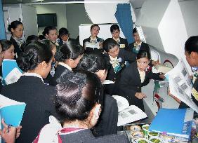 Japan gov't sets up cabin attendant inspection team