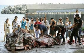 Whaling tradition in Japan communities