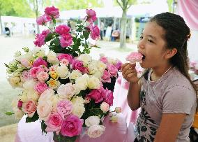 Edible roses