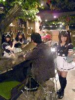 'Maid' girls tour helps Akihabara newcomers