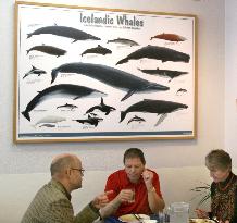 Icelandic firm sells whale meat to Japan
