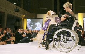 Fashion show with assistance dogs