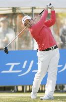 S. Korea's Ahn captures Japan LPGA money title